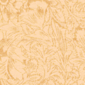 Antique Floral Cream - Wide Quilt Backing