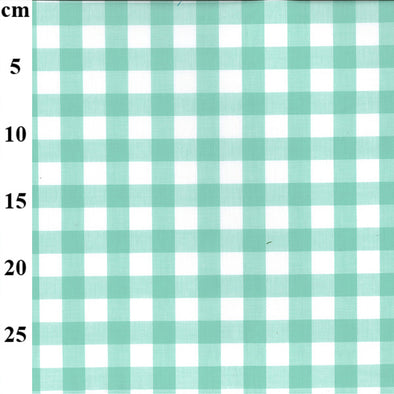 Yarn Dyed Cotton Gingham - Mint 17mm Check