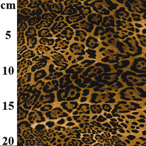 Leopard Print - Cotton Poplin